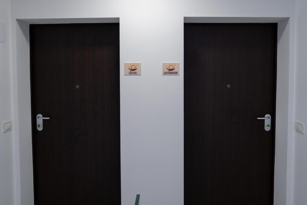Apartment Ii